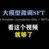 大模型微调看这个视频就够了 SFT NEFTune