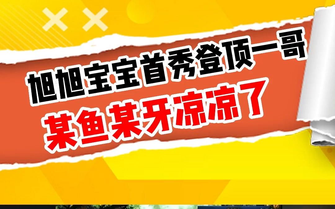 旭旭宝宝的成功首秀,预示着,其他大主播已经开始身在曹营心在汉了!香迷糊了哔哩哔哩bilibiliDNF