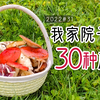 云南真是蘑菇天堂！我在自家院子里竟采到了30种蘑菇