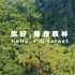 世界森林日：让森林更美、更绿