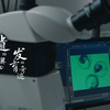 遗传的奥秘，发育的奇迹 | 中国科学院遗传发育所研究生招生宣传片