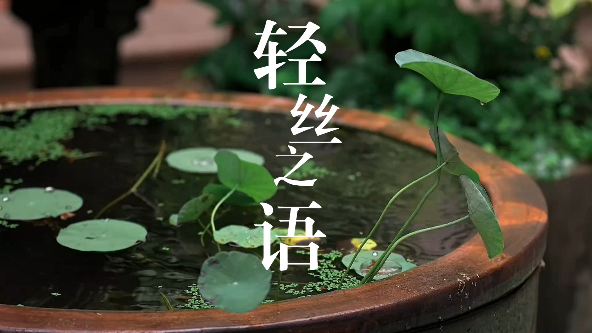 世界公认最佳放松雨声，轻丝之语，432HZ让人体达到极度舒适的频率，白噪音，聆听大自然，睡眠，助眠，学习，冥想，放空，解压，平和静心