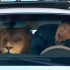 【一三电影】一部很“成龙”的电影，带着狮子飙豪车，狮子晕车的那一刻我笑了
