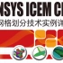 ANSYS ICEM CFD网格划分与技术实例