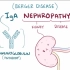 【搬运osmosis】IgA nephropathy (Berger disease)