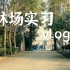 下蜀林场实习vlog-来感受下林学人的实习生活吧（南京林业大学）