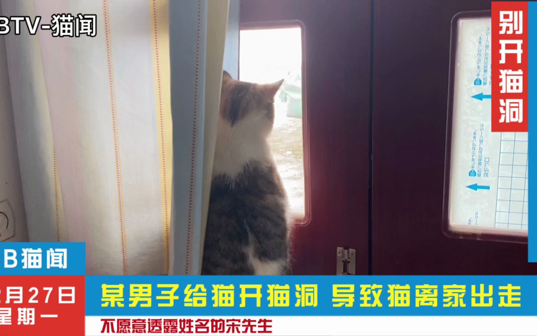 某男子给猫开猫洞,导致家里一片凌乱,现在猫也消失了,悔不当初哔哩哔哩bilibili