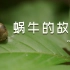 【蜗牛的故事】VOL.001 本频道记录自然与生物的有趣故事
