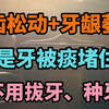 牙齿松动+牙龈萎缩，就是牙被痰堵住了，不用拔牙、种牙