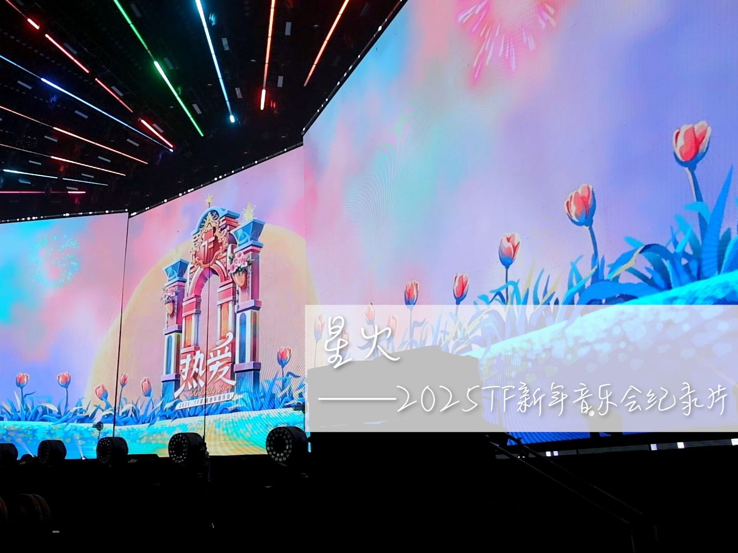 【TF家族】2025新年音乐会纪录片「星火」（上）