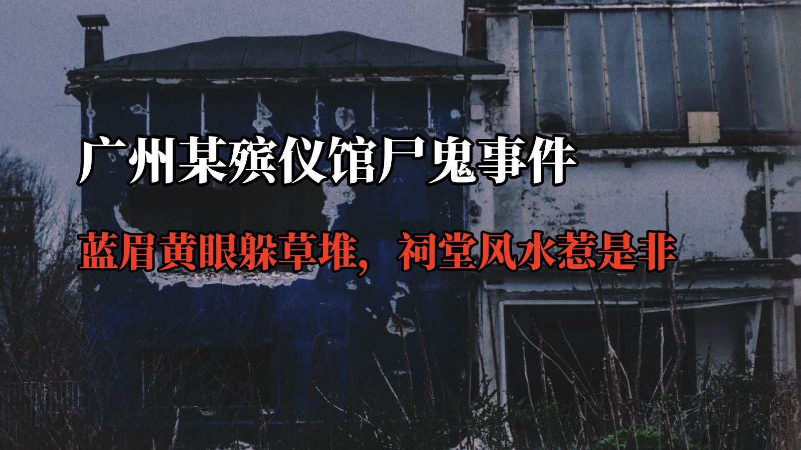 【高能慎入】广州某殡仪馆尸鬼事件！蓝眉黄眼躲草堆，祠堂风水惹是非？