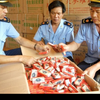 揭秘保健品营销骗局，揭开4种常用套路，赶紧提醒家人