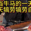 网红懂得起大哥今天又来赊账了，哎！这生意真是越来越难做了