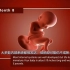 怀孕后胎儿在麻麻肚子里每个月的发育变化！