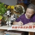 7月29日是“全球老虎日”，苏州广电独家对话“华南虎之父”黄恭情，讲述苏州与虎的情缘。