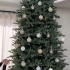 【圣诞节】开始组装和装饰圣诞树