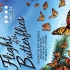 【纪录片】帝王蝶的迁徙 双语字幕 Flight Of The Butterflies (2012)