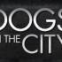 【纪录片/宠物】狗狗在都市（全6集/中英双字）