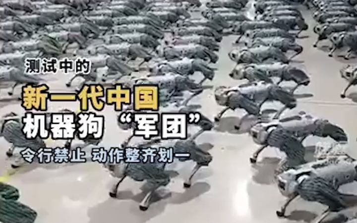 测试中的新一代中国机器狗“军团”