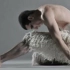 【芭蕾】男版天鹅湖片段 - R.I.P. Jonathan Ollivier