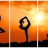 【瑜伽入门】零基础入门瑜伽｜全身综合练习｜经典初级瑜伽教程（全集）