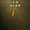 人间一日，浮游一生，浮生若梦
