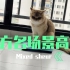 【(ФωФ)】小猫咪，你要学会表情管理啊！