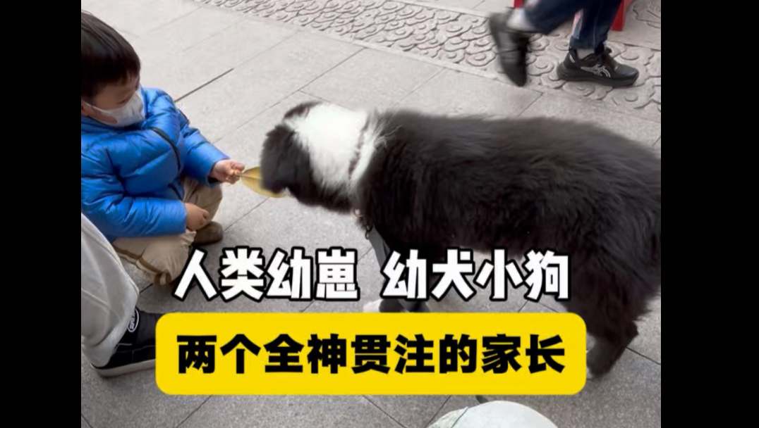 不要对这个世界放弃希望