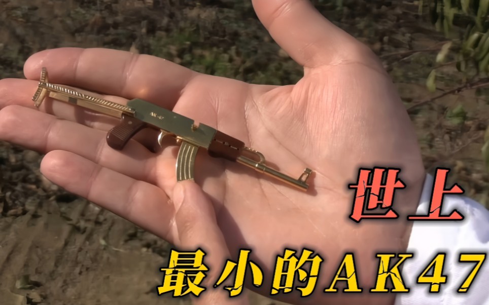 测试世界上最小的AK47的威力！