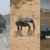 [深度协同] 解放军用无人装备演练新战法 无人机, 排爆机器人, 机器狗, 微型侦察机器人, 无人保障车, 无人侦察车
