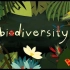 【Ted-ED】生物多样性为何重要 Why Is Biodiversity So Important