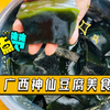 广西特有的神仙豆腐（第一次制作