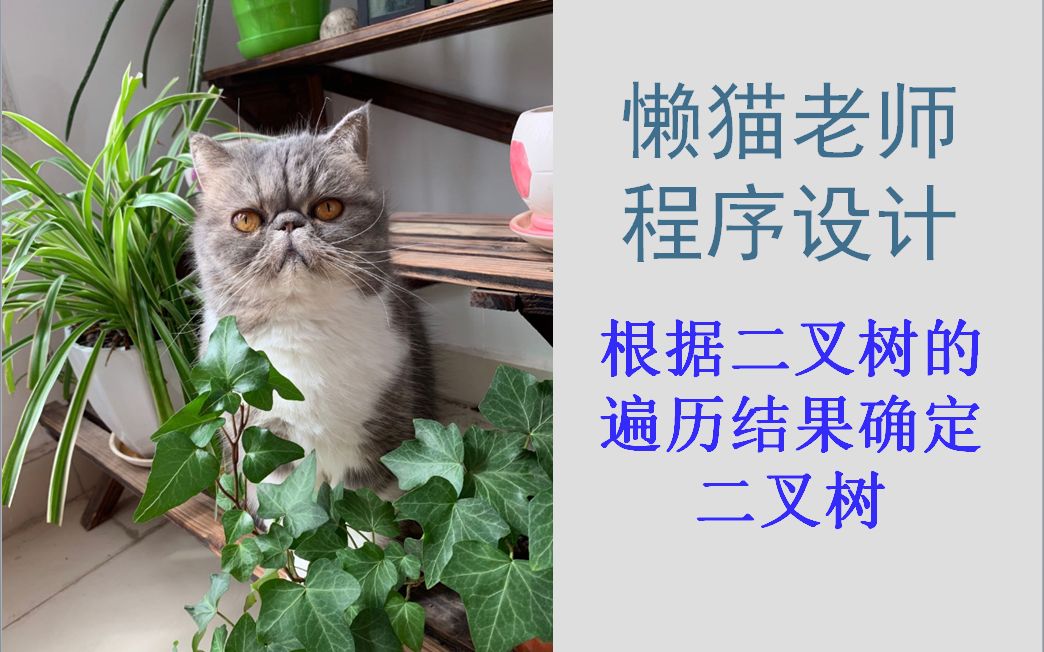 懒猫老师-数据结构-(29)根据二叉树的遍历结果确定二叉树
