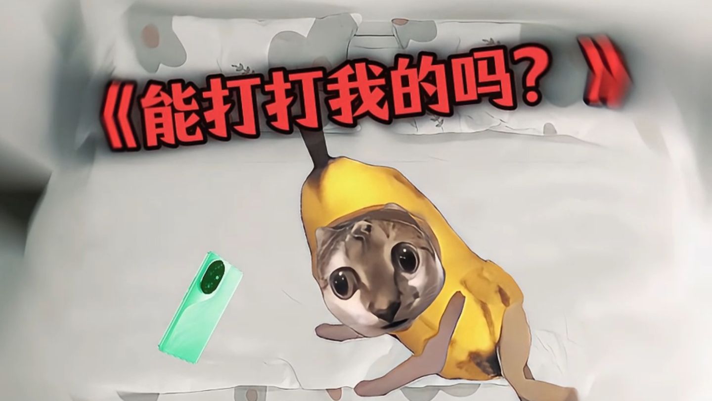 当我睡前突然想听雷霆小说3