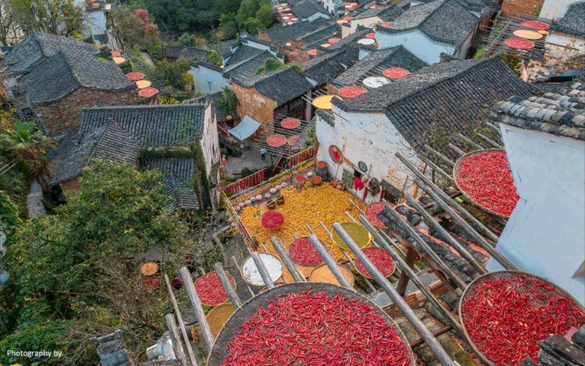 重阳，婺源篁岭看晒秋