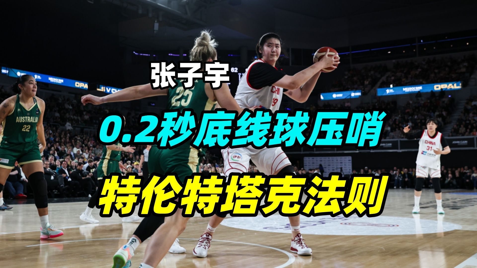 0.2秒压哨球！张子宇特种底线球战术！特伦特塔克法则是什么？