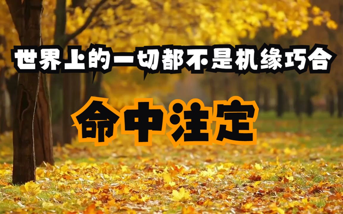 世界上的一切都不是机缘巧合，这6大宇宙定律让你活得更加自在通透！