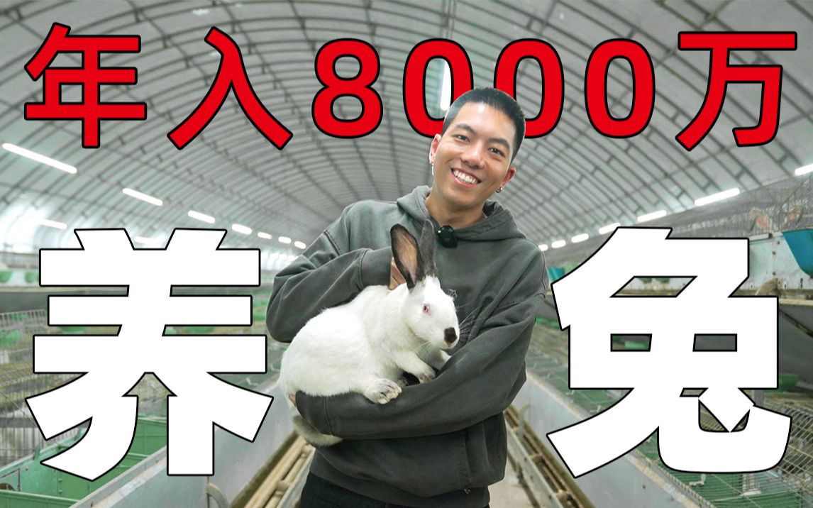 四川一个山沟子，养兔子一年赚8000万！