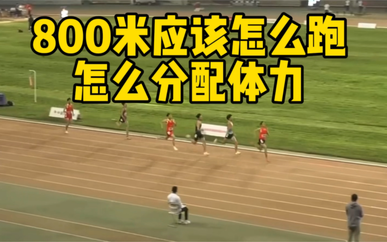 800米应该怎样分配体力，今天800米国家级运动健将教你如何跑800米