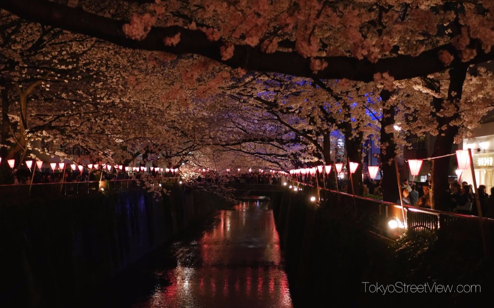 【超清日本】夜樱 东京中目黒【tokyostreetview】