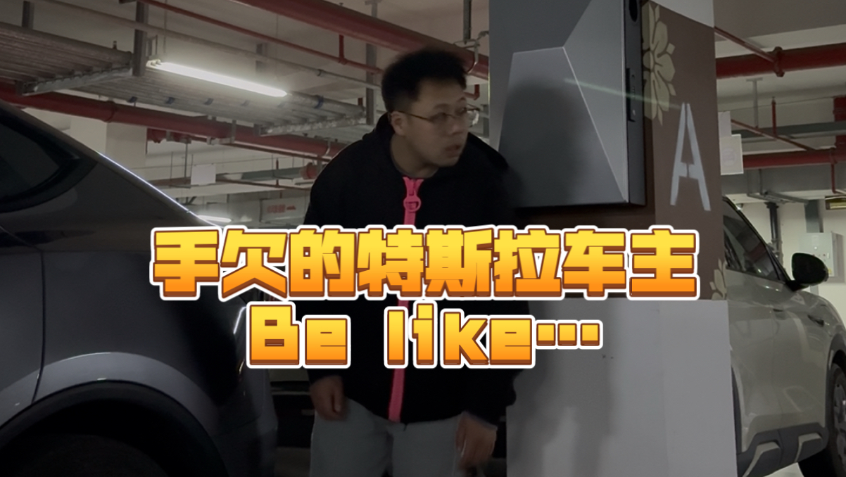 有没有和我一样恶心的特斯拉车主