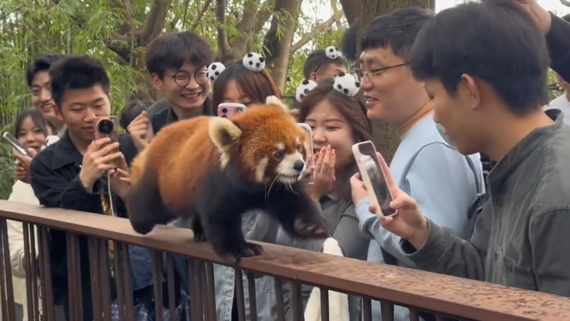《不白来嗷，都不白来》