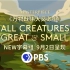 【NEW自译| 预告】万物既伟大又渺小All creatures great and small