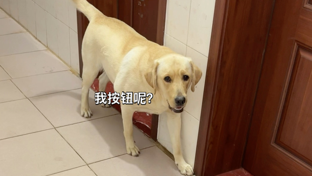 必须按开饭，才能吃！