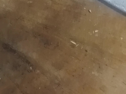 本以为开出一个隐藏款，结果全都是隐藏款