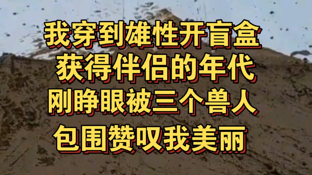 我穿到雄性想获得伴侣必须开盲盒的年代，睁眼被三个兽人包围