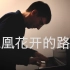 【钢琴】林志炫《凤凰花开的路口》罗曼耶卓
