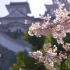 日本绝美风光宣传短片：游历日本47个都道府县，见证四季之美