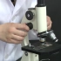 2实验探究二  认识和使用显微镜
