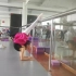 小美女在舞蹈班用把杆辅助练习舞蹈基本功-肘倒立